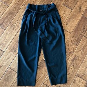 Madewell paper bag dress slacks is size 2P